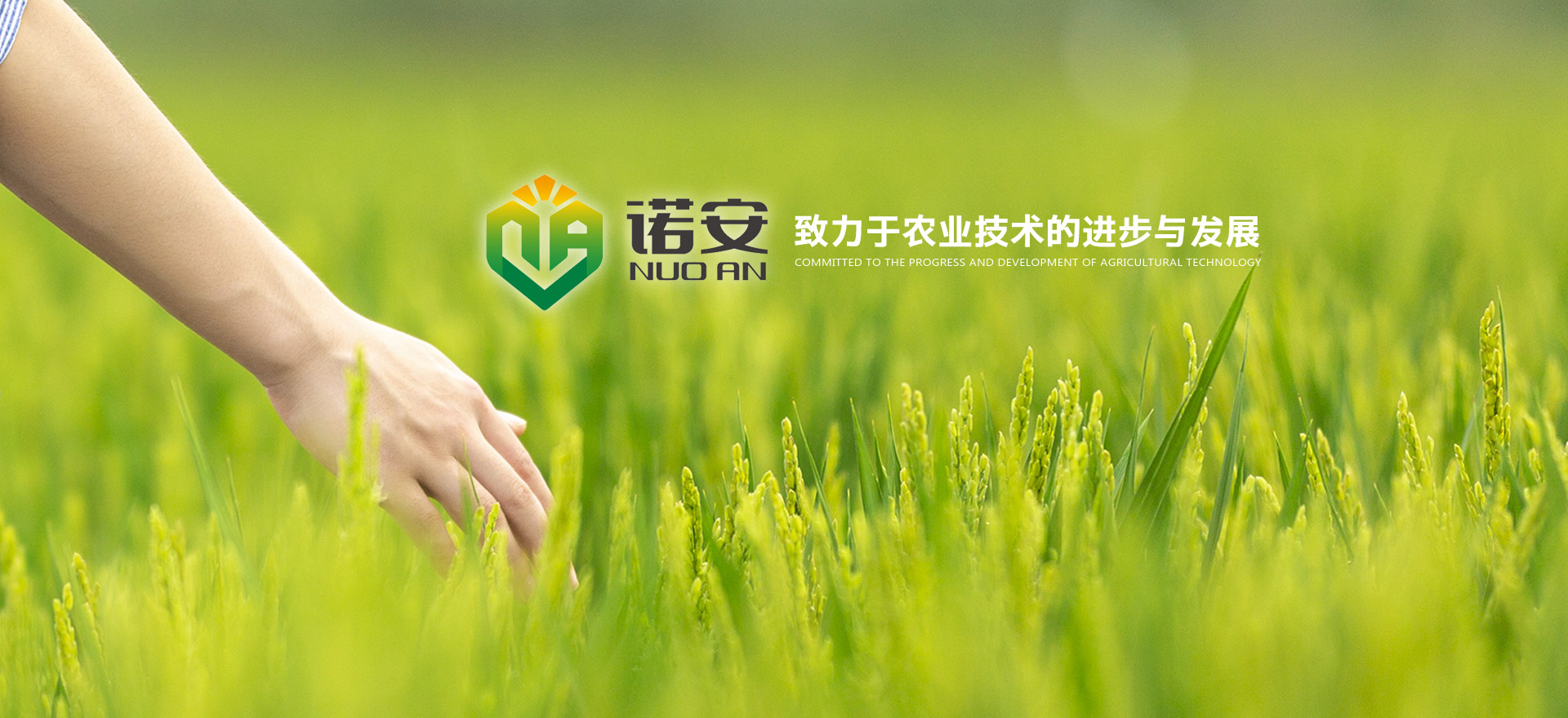 諾（nuò）安生態肥業（yè）