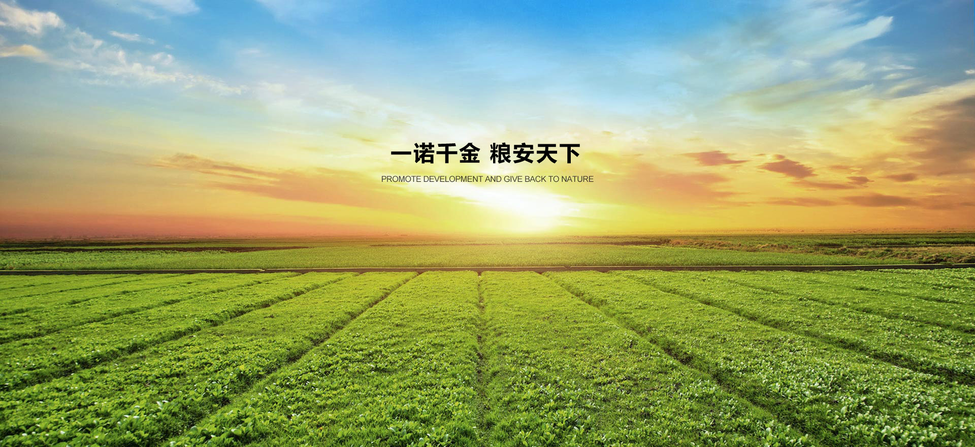 17c.com生態肥業